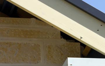soffit repair Dumcrieff