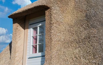 Dumcrieff thatch roof disadvantages